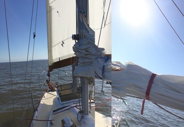 Smooth sailing on the Chesapeake Bay.