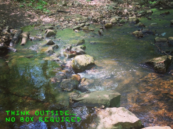 A stream crossing along the Appalachian Trail